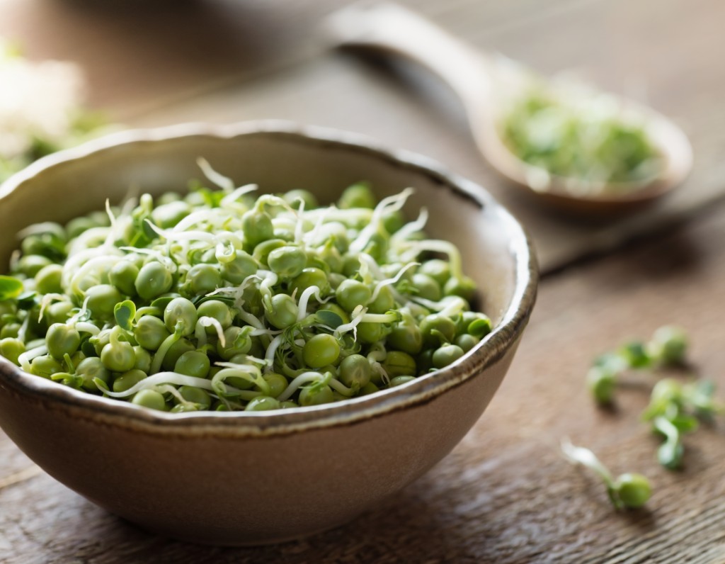 Sprouted Green Peas